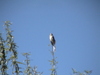 DSC09660